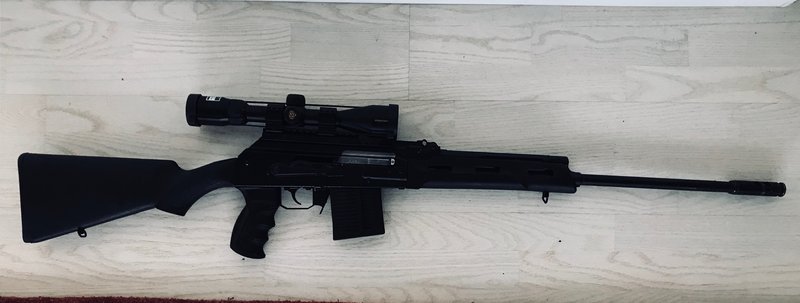 saiga 8.jpg